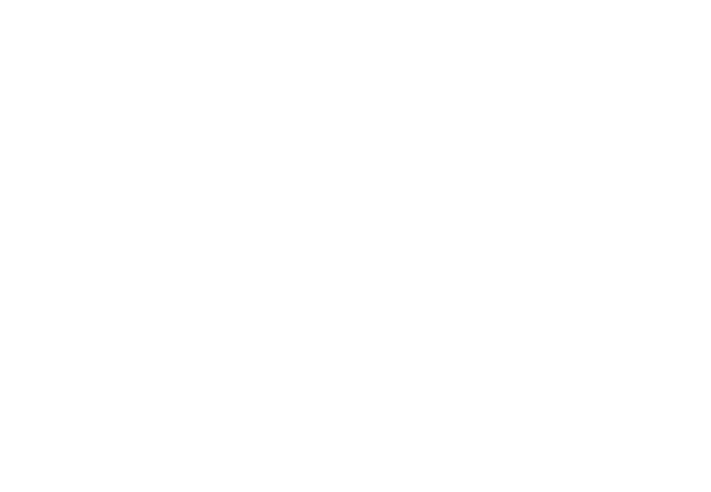 logo-icon